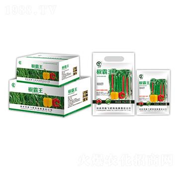 ������-���л���