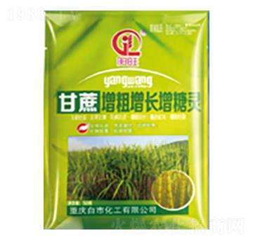 甘蔗增粗增長增糖靈-白市化工