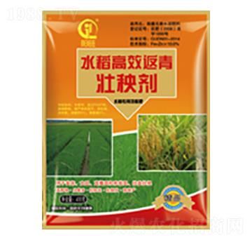 水稻高效返青壯秧劑-白市化工