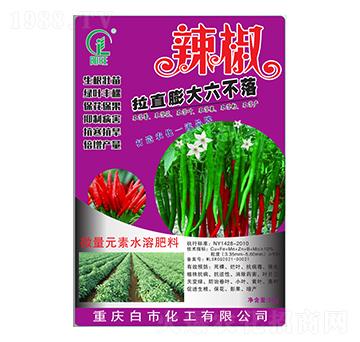辣椒拉直膨大六不落-白市化工
