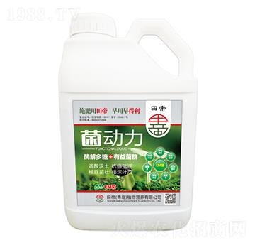 ����(d��ng)��-���