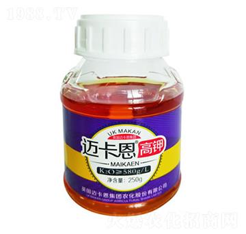 �~�������-��������