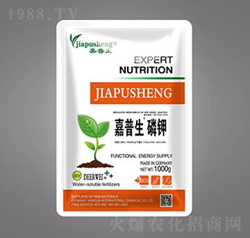 ���������-��˼�D