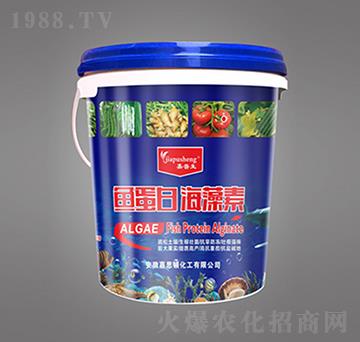 �~���׺�����-������-��˼�D