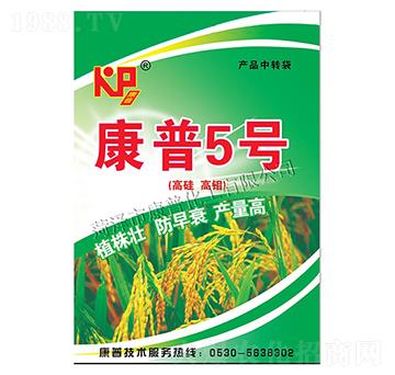 ����5̖-���ջ���