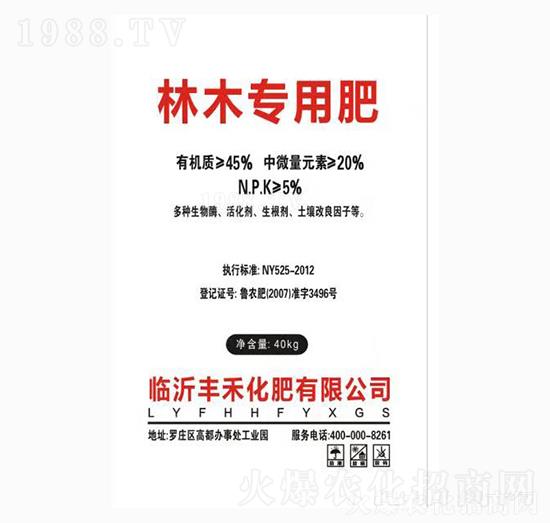 ��ľ���÷�-�S��1