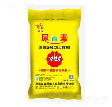 25%��ø��-�ɘ�