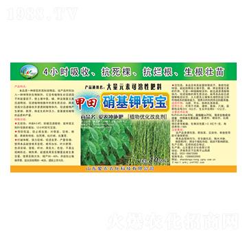 ������}��-����-�и�����