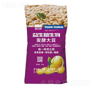 ����������l(f��)�ʹ󶹣�����-�{����