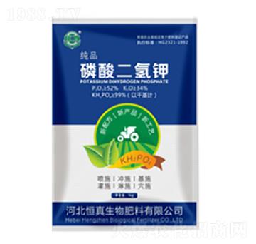 �{ɫ���b��������-��������