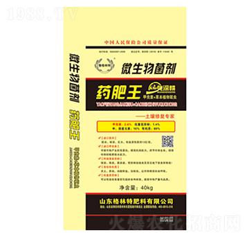 ˎ����-������