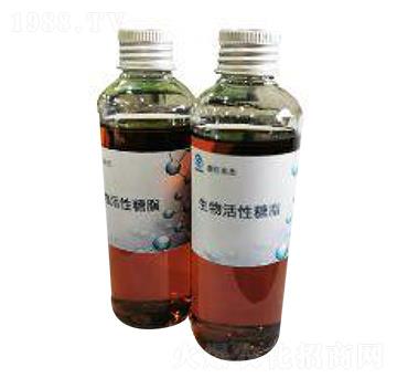 ���������֬-�|������