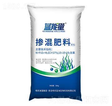 �w���������19-19-19-�{(l��n)����