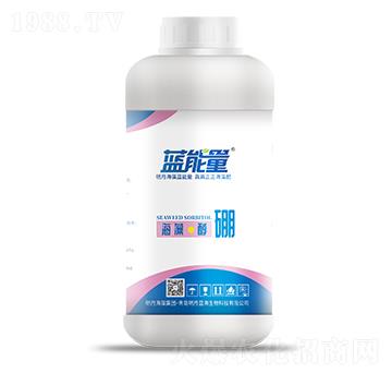 400g���塤����-�{(l��n)����