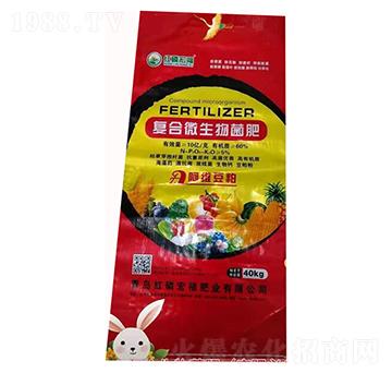 �ͺ�΢�������-�t�׺긣