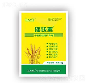 小麥控旺增產(chǎn)專用-搖錢素作物