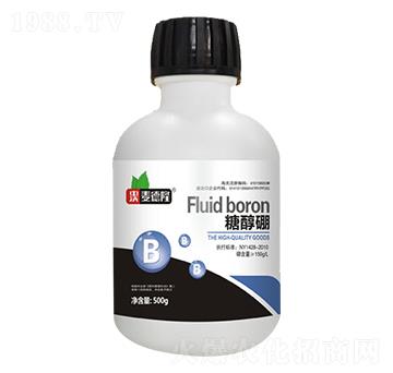 �Ǵ���-����¡