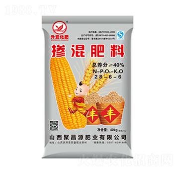 �������28-6-6-����-�S��ʘI(y��)