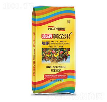 �ͺϷ���18-18-18+TE-�����S���-�����