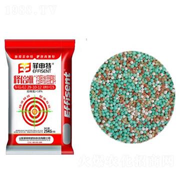 ��ጓ������29-10-12-ጱ���-������