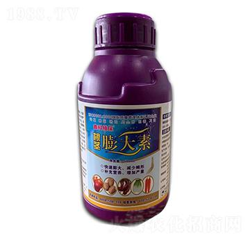 500ml���o�����-�ο�ֲ��