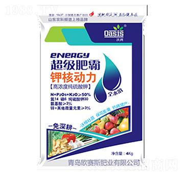 ���ޛ_ʩ��-⛺˄���-�Wِ˹