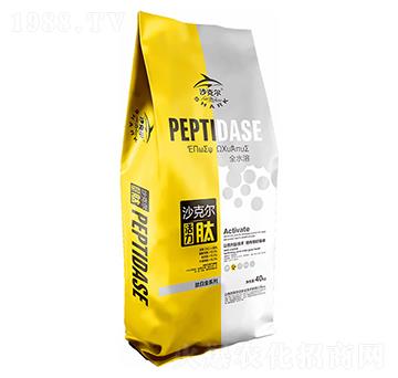 �İ׽�ϵ��ɳ�ˠ�������-�Wِ˹