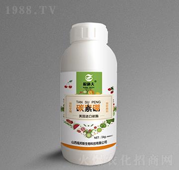 ̼����-��ʩ��-����˹