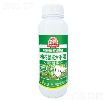 �޻���֦������-�����r(n��ng)