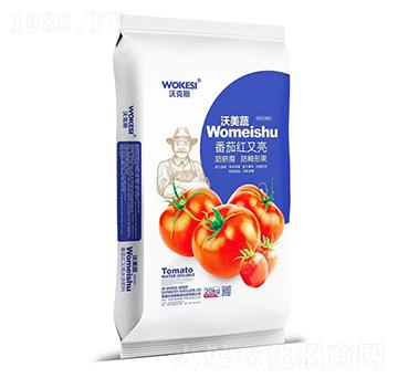 ���Ѽt����-�ֿ�˹-ǰ�طʘI(y��)