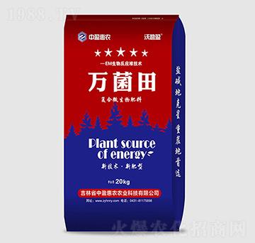 �ͺ�΢�������-�f����-��ӯ���r