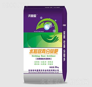 ˮ��������Y��-�ֱ�ӯ-��ӯ���r