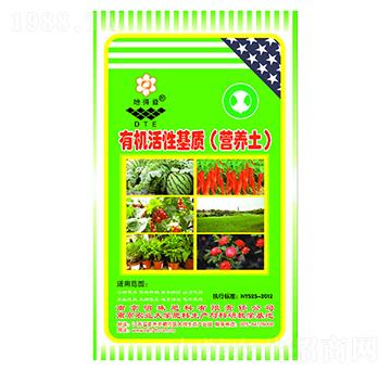 �ЙC(j��)���Ի��|(zh��)���I(y��ng)�B(y��ng)����-����