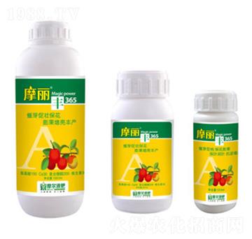 Ħ���S-ħ��Һ��