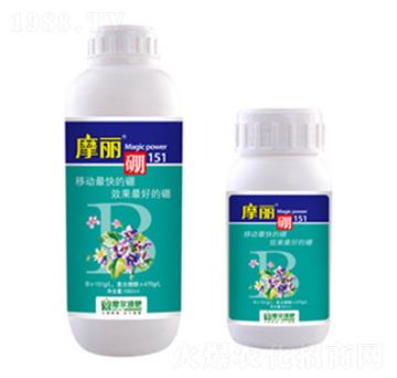 Ħ����-ħ��Һ��