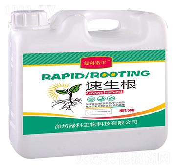 ������-�G���Z�S-�G������