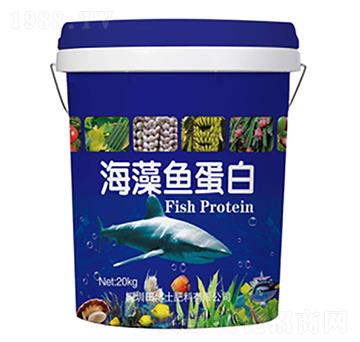 �����~����-�ﲩʿ