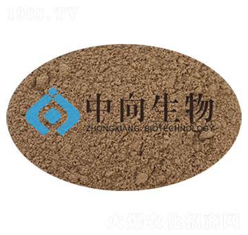 ����ѿ�ߗU��-��������