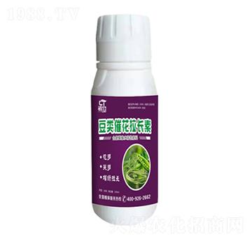 ��߻����L(zh��ng)��-����-�֮��