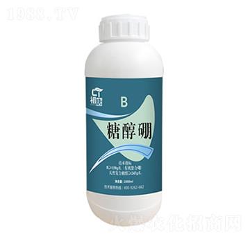 �Ǵ���-����-�֮��