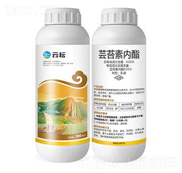 �|̦�؃�(n��i)��-����