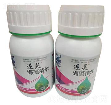 ���徫�A-���`-������(l��)