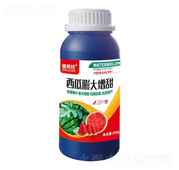 �����������-ʩ�R��-ӯ�S�r�I(y��)