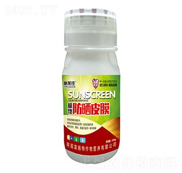 ֲ�����ƤĤ-ʩ�R��-ӯ�S�r(n��ng)�I(y��)
