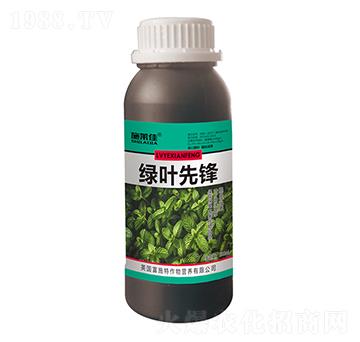 �G�~���h-ʩ�R��-ӯ�S�r(n��ng)�I(y��)