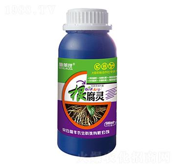 �����`-ʩ�R��-ӯ�S�r(n��ng)�I(y��)