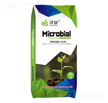 2�|΢�������-�h��-�՘�(l��)����