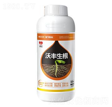 ���S������ƿ��-�����S