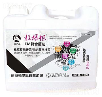 EM�ͺϾ���-������-����ķ