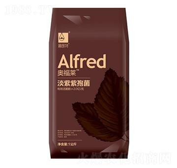 �������߾�-�W���R-������